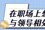 在职场上想晋升应该怎么与领导相处?