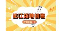 上海松江招聘导购/营业员6千-1万